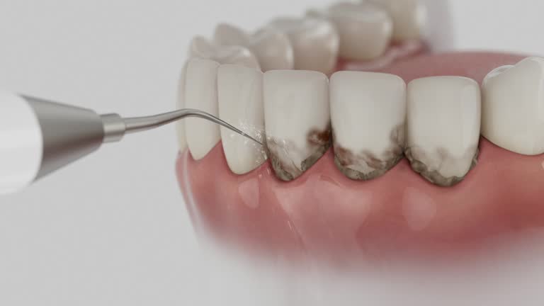 Reliable Dental contractor in Butler, IN by Dentist Open Now